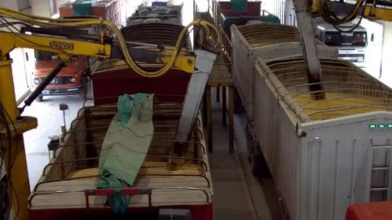 Editorial | Trigo récord, logística al límite y un mercado que cruje