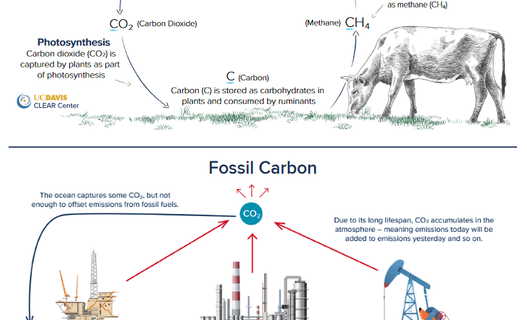 Editorial | El falso debate del metano y el impuesto imposible