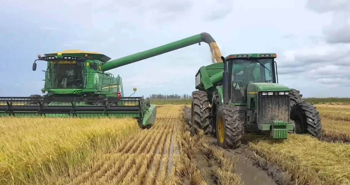 La Sociedad Rural Argentina renovó su reclamo por retenciones e infraestructura ante una cosecha de trigo histórica