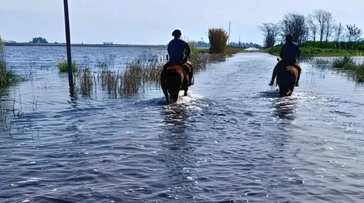 Grave impacto económico y social por las inundaciones en 9 de Julio: pérdidas por casi USD 114 millones