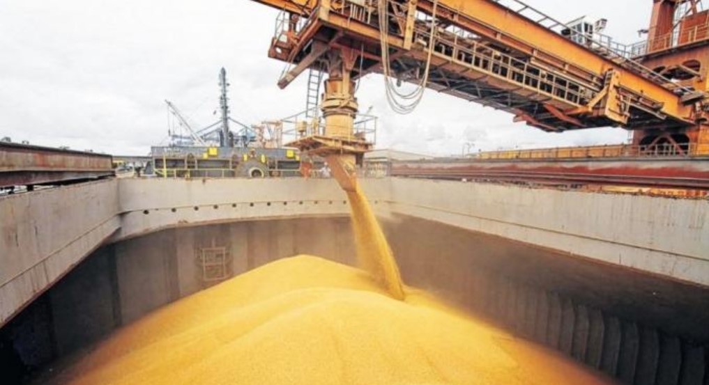 Argentina concreta sus primeros envíos de trigo a China