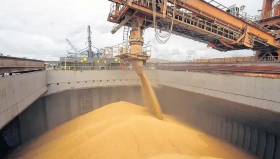 El campo celebró la sorpresiva baja de retenciones y reclamó avanzar hacia su eliminación definitiva