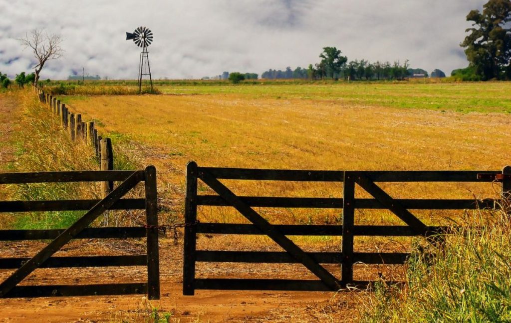 El mercado inmobiliario rural cerró el segundo semestre de 2025 con menos actividad, pero señales de recuperación