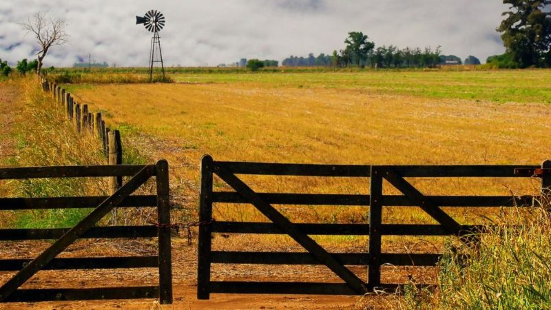 La baja de retenciones ya dejó un alivio de US$1950 millones, pero la presión fiscal sigue asfixiando a parte del campo