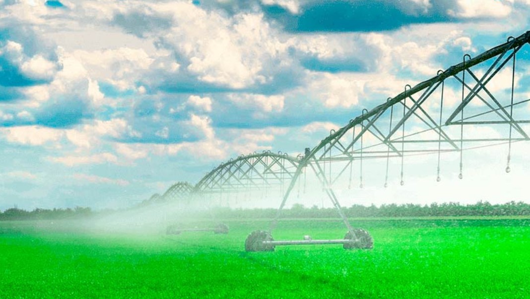 El Gobierno incorpora el RIMI a la reforma laboral: prevé incentivos para riego, energía, genética y mallas antigranizo