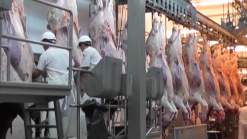 Frigoríficos exportadores frenan la faena por la pérdida de rentabilidad.