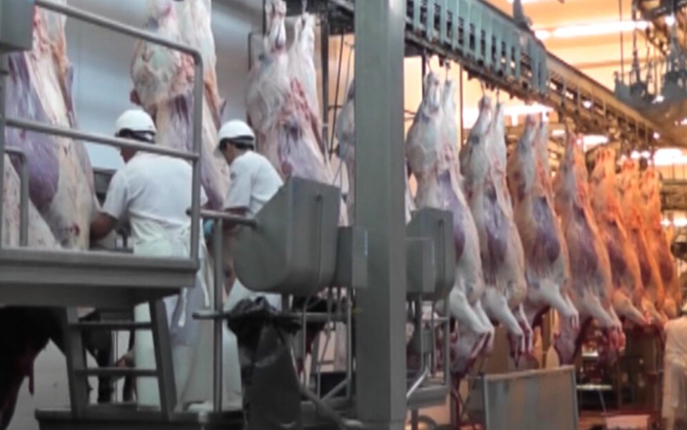 Frigoríficos exportadores frenan la faena por la pérdida de rentabilidad.