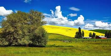 CREA: Empresarios esperan cambios significativos mientras el ICEA muestra una fuerte recuperación