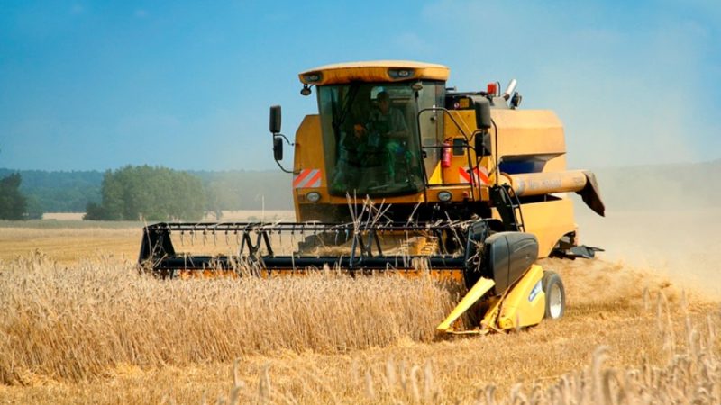 Una cosecha que ilusiona, pero no alcanza para tapar los problemas