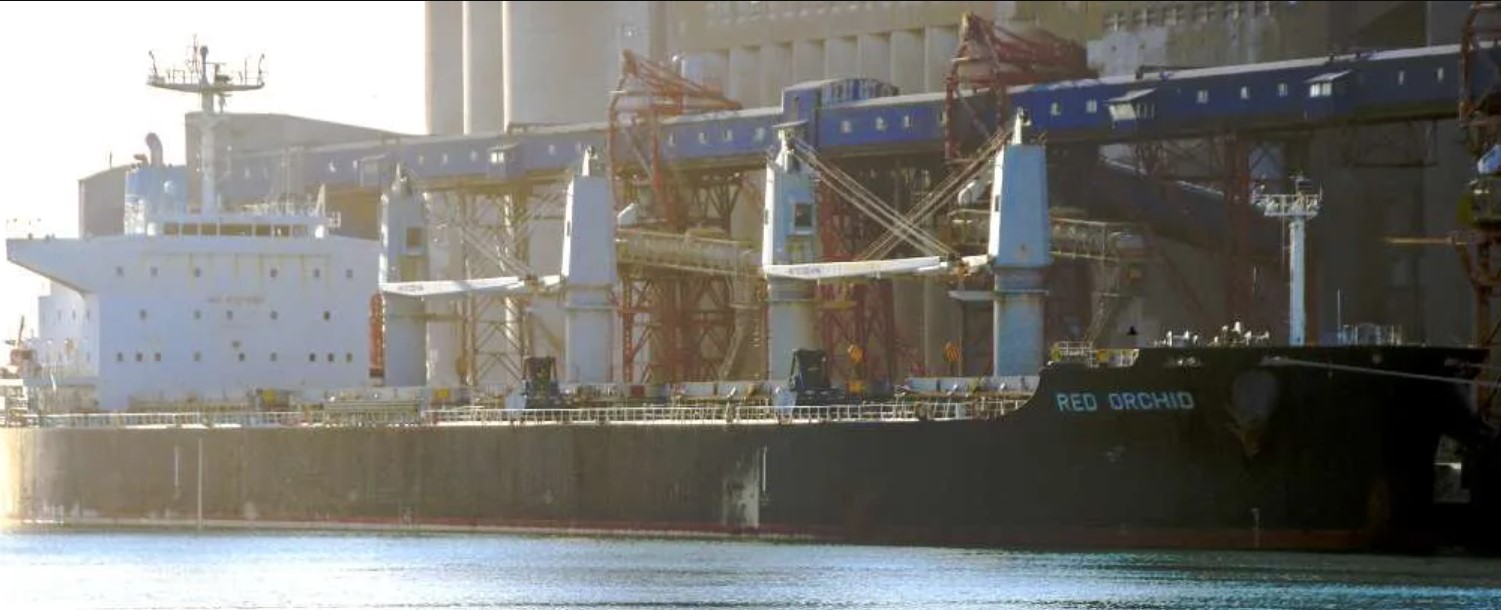 Puertos en acción: la logística que sostuvo al agro argentino en un año bisagra