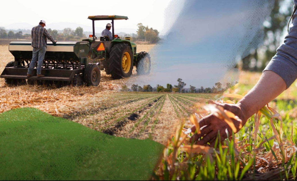 El sudeste bonaerense consolida su perfil agrícola en la campaña 2025/26