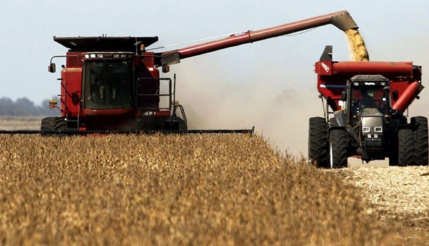 La cebada y el sudeste bonaerense: una región que sostiene la producción y marca el pulso del mercado