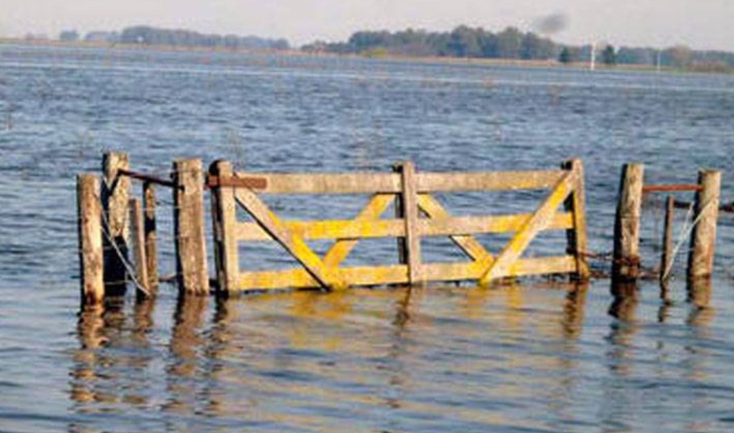 INUNDACIONES EN EL AGRO: ESTADO ACTUAL DE LAS ZONAS PRODUCTIVAS AFECTADAS