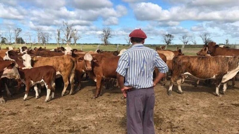 Los trabajadores rurales en 2025: entre la modernización del agro y viejos desafíos estructurales