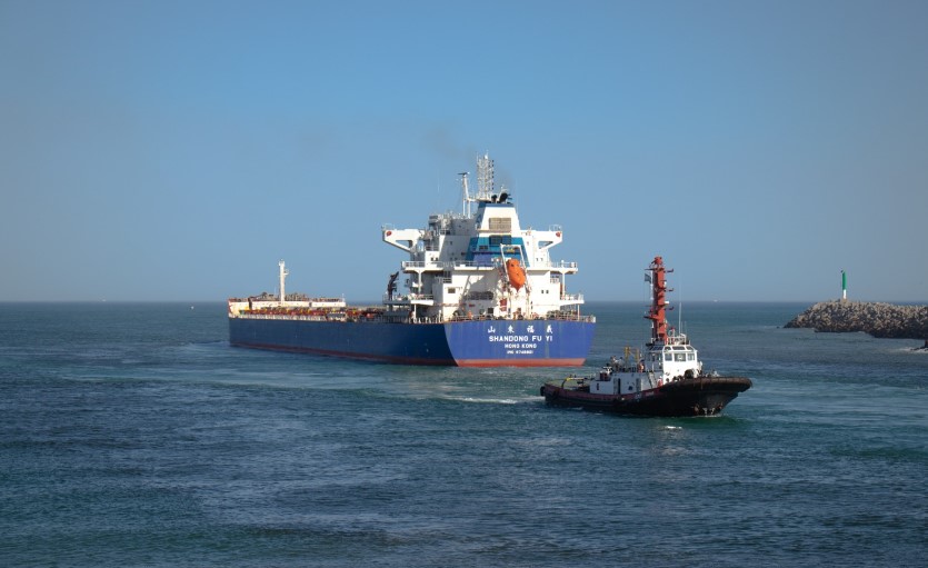 El trigo argentino vuelve a China y Puerto Quequén se consolida como nodo estratégico