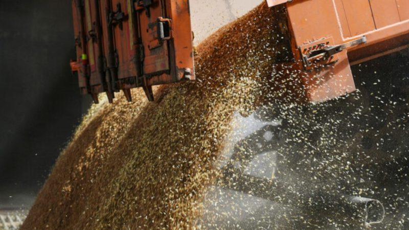 Editorial | El campo volvió a sostener las divisas: volumen, incentivos y un desafío pendiente