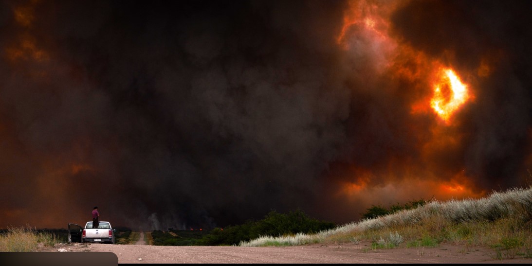 Incendios en La Pampa y Buenos Aires: con 100.000 hectáreas quemadas, CARBAP reclama créditos y obras