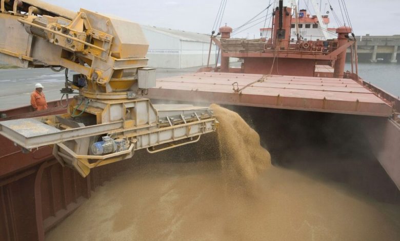 Fuerte ingreso de divisas del agro: el sector liquidó U$S 1.850 millones en enero