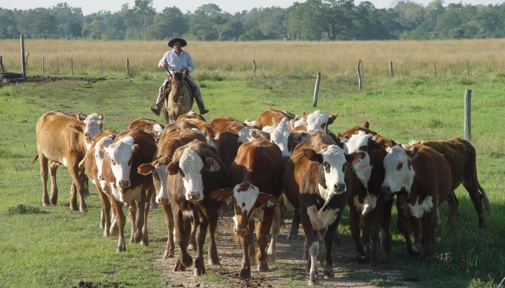 Comenzó a regir la reforma laboral y el impacto en el trabajo agrario