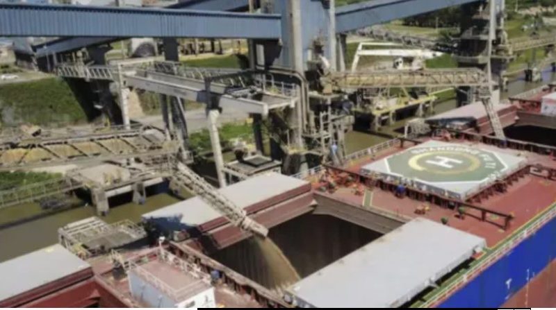 RÉCORD HISTÓRICO EN EXPORTACIONES AGRÍCOLAS: CRECIERON 71% EN MARZO Y ANTICIPAN FUERTE ACTIVIDAD