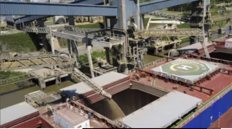 RÉCORD HISTÓRICO EN EXPORTACIONES AGRÍCOLAS: CRECIERON 71% EN MARZO Y ANTICIPAN FUERTE ACTIVIDAD