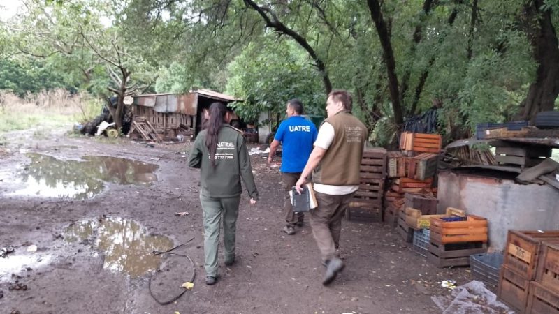 NECOCHEA Y QUEQUÉN: DETECTAN 21 TRABAJADORES RURALES SIN REGISTRAR EN OPERATIVOS DE FISCALIZACIÓN