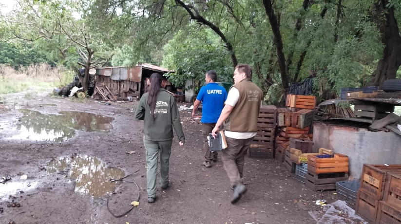 NECOCHEA Y QUEQUÉN: DETECTAN 21 TRABAJADORES RURALES SIN REGISTRAR EN OPERATIVOS DE FISCALIZACIÓN