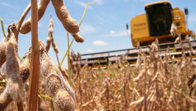 Soja: la cosecha se retrasa por lluvias, pero mejora el pronóstico climático