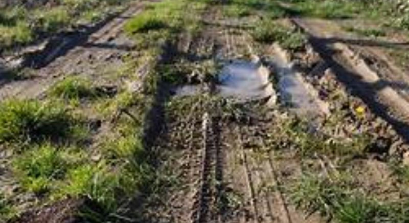 CAMINOS RURALES: ENTRE EL ABANDONO Y LA REBELIÓN LEGAL