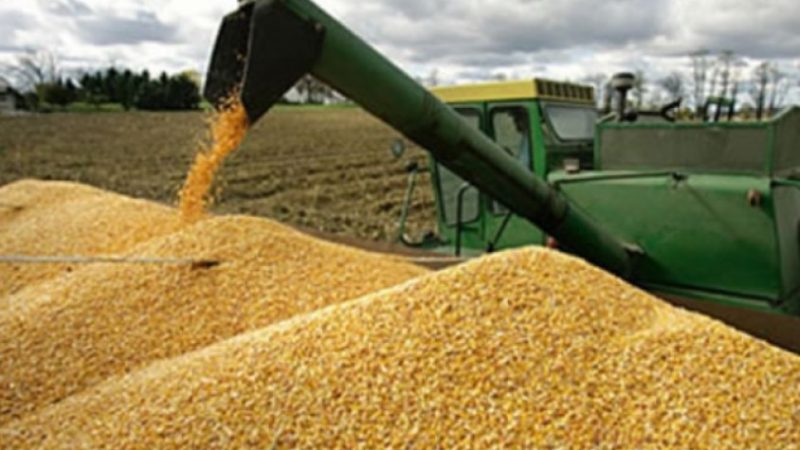 FUERTE DEMANDA CHINA IMPULSA LAS EXPORTACIONES DE SOJA ARGENTINA AL INICIO DE LA CAMPAÑA