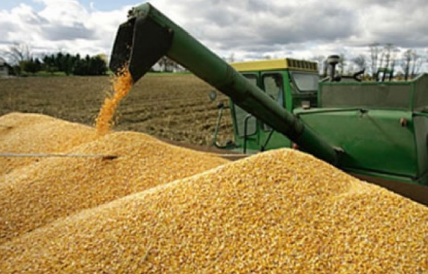 FUERTE DEMANDA CHINA IMPULSA LAS EXPORTACIONES DE SOJA ARGENTINA AL INICIO DE LA CAMPAÑA