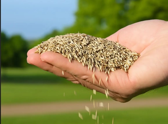 El Gobierno impulsa un nuevo sistema de control sobre el uso de semillas