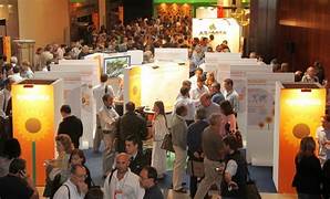 GIRASOL: EL MEJORAMIENTO GENÉTICO APUNTA A NUEVOS RÉCORDS EN LA CAMPAÑA 2026/27