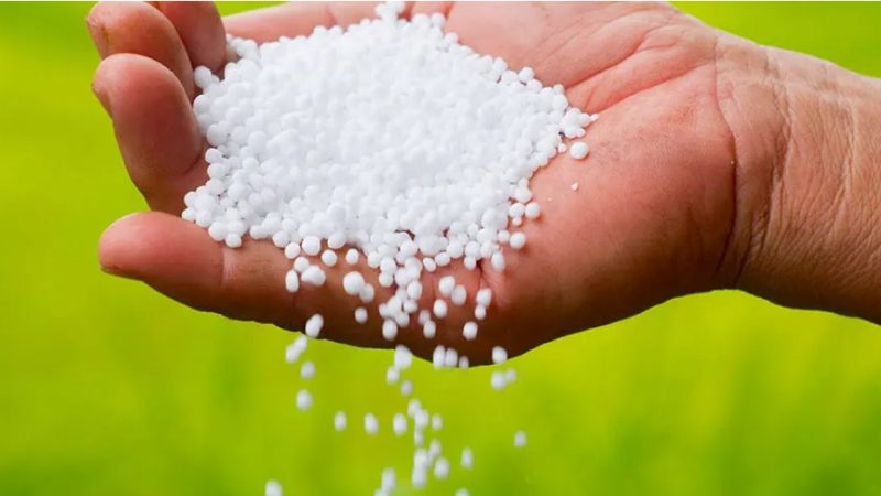 Fertilizantes: preocupación por el precio y la disponibilidad de urea en plena campaña agrícola