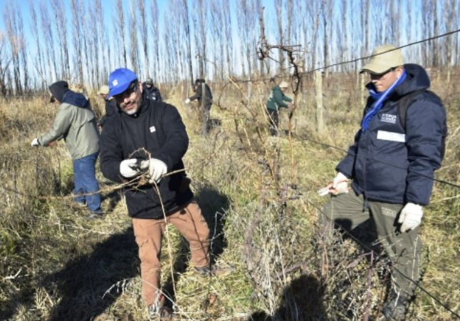 Homologaron la primera paritaria rural bajo el nuevo régimen de negociación colectiva