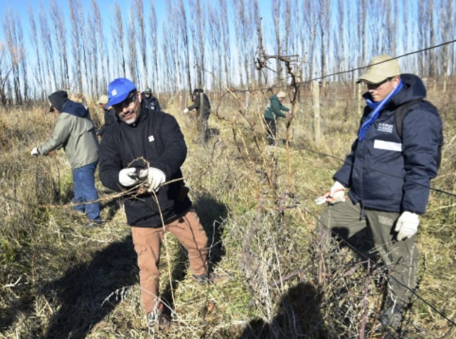 Homologaron la primera paritaria rural bajo el nuevo régimen de negociación colectiva