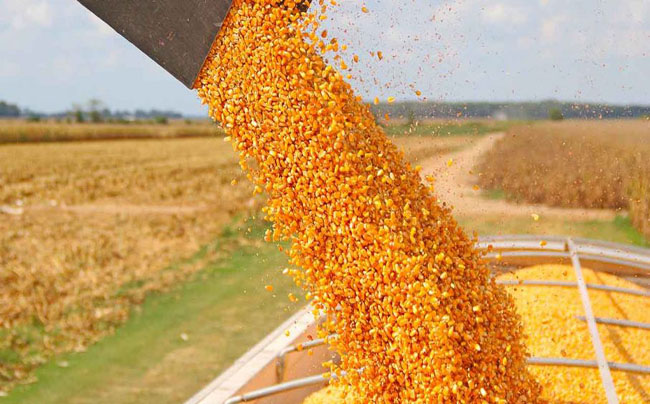 Récord productivo, pero con márgenes en caída en el agro argentino