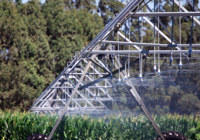 El Gobierno reglamentó el Rimi para impulsar las inversiones de pymes