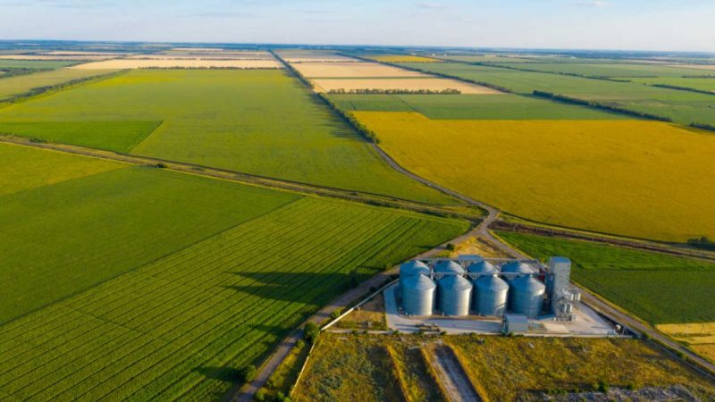 Fuerte interés por la tierra: crece la demanda de campos en el norte bonaerense