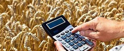 Fuerte apuesta anticipada al trigo 2026/27: ya se negociaron más de 2,6 millones de toneladas