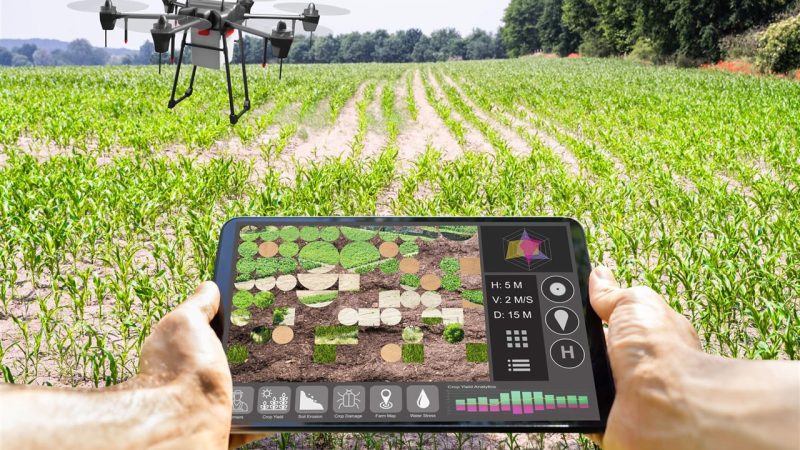 La digitalización llegó al campo: el agro frente a una nueva transformación