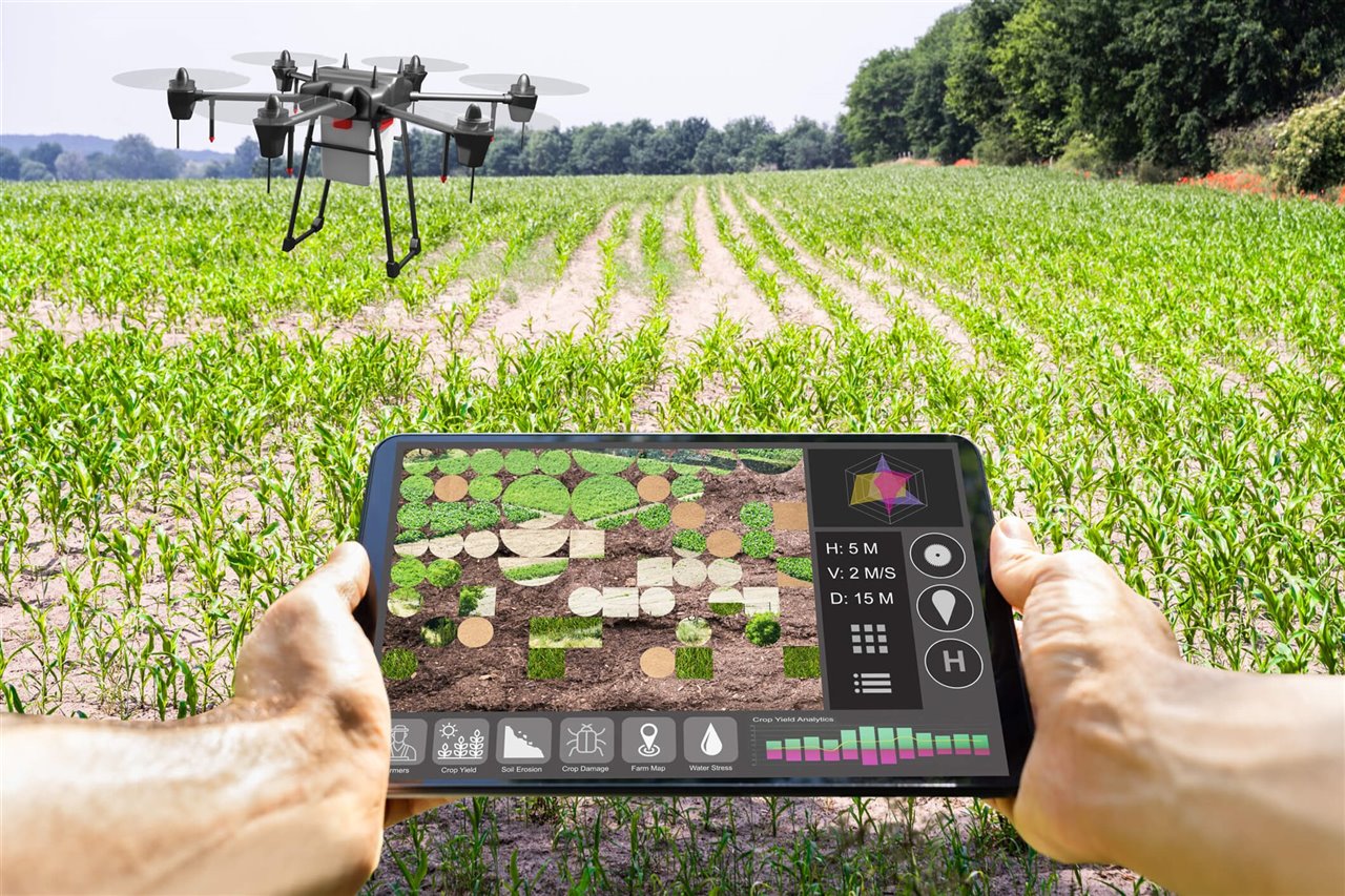 La digitalización llegó al campo: el agro frente a una nueva transformación