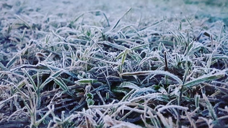 Heladas agronómicas y fuerte descenso térmico marcarán la próxima semana