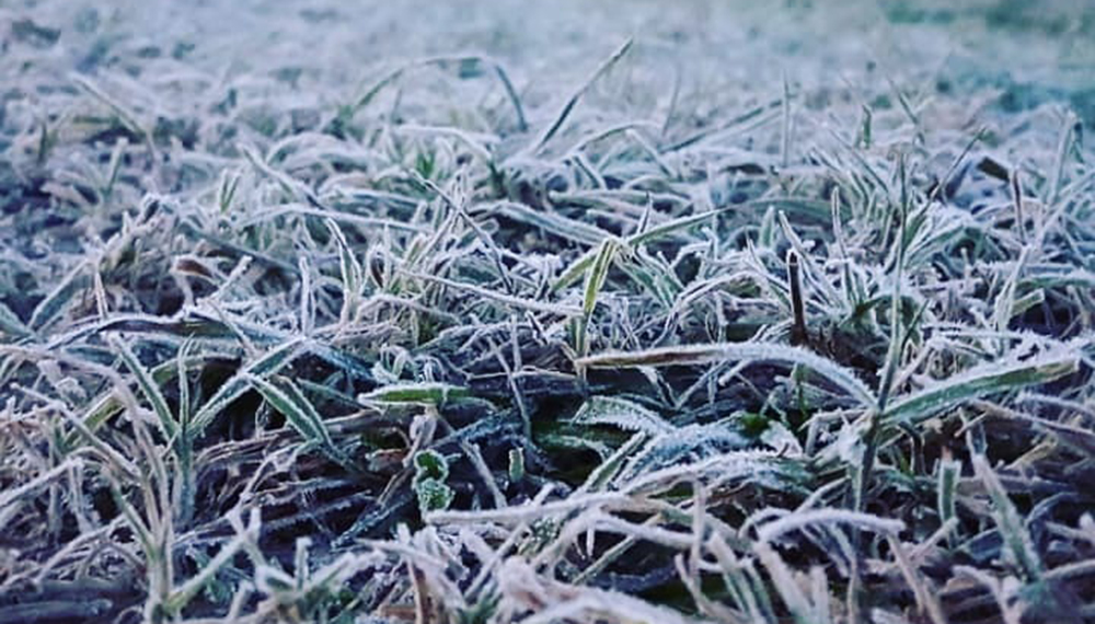 Heladas agronómicas y fuerte descenso térmico marcarán la próxima semana