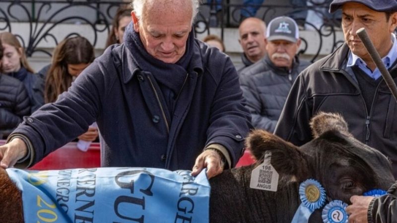 La genética Angus gana protagonismo en Palermo