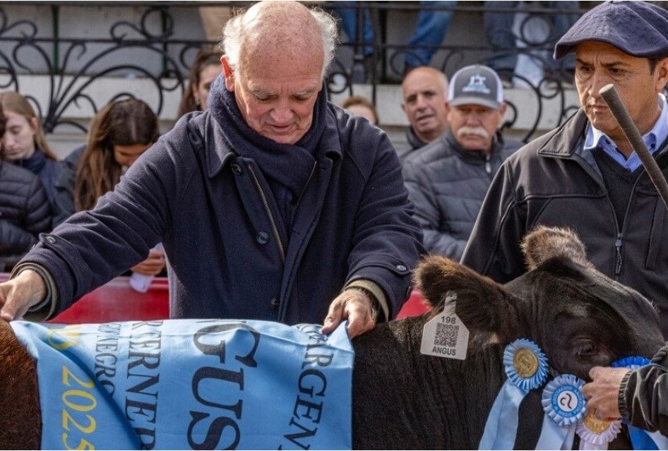 La genética Angus gana protagonismo en Palermo