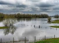 El campo, bajo el impacto de la ciclogénesis en nuestra región