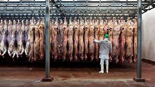 Fuerte crecimiento del valor exportado de carne vacuna, mientras cae el consumo interno