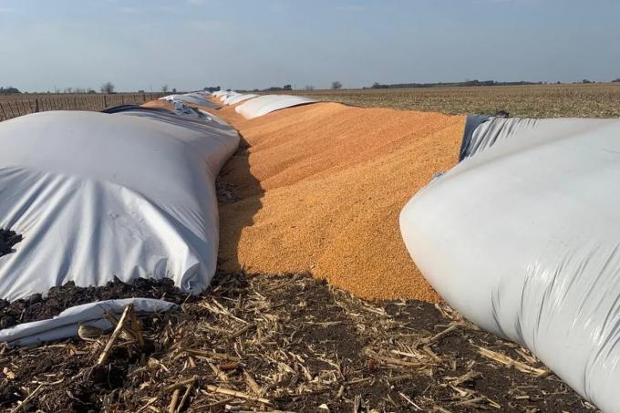Un proyecto de ley propone penar con hasta 8 años de prisión los ataques a silo bolsas