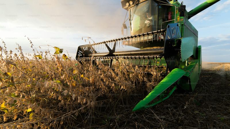 a cosecha de soja entra en su etapa final y se encamina a una producción de 50,1 millones de toneladas
